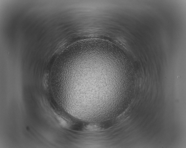 X0000062790171200512290232