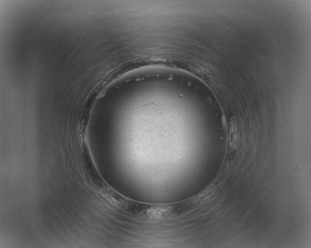 X0000062790172200512290232