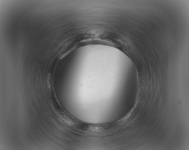 X0000062790174200512290232