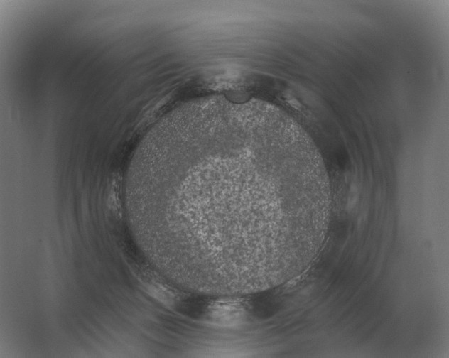 X0000062790175200512290232