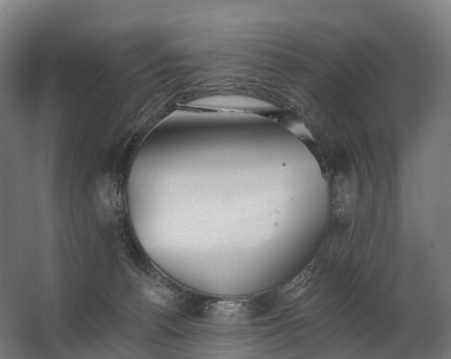 X0000062790176200512290232