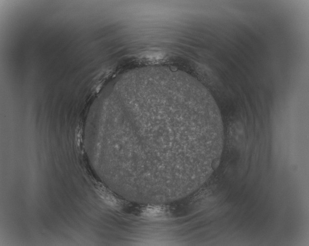 X0000062790177200512290232