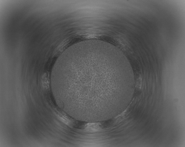 X0000062790179200512290232