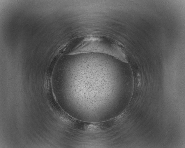 X0000062790180200512290232