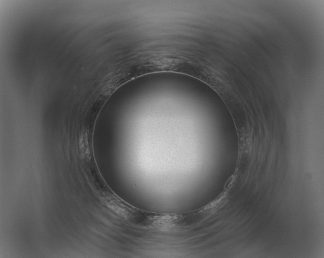 X0000062790182200512290232