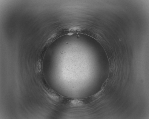 X0000062790183200512290232