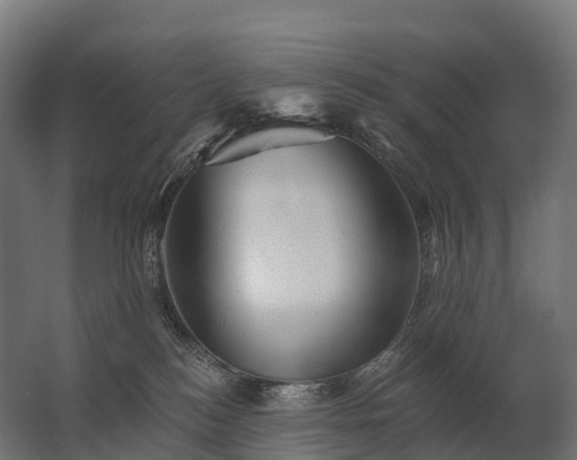 X0000062790184200512290232