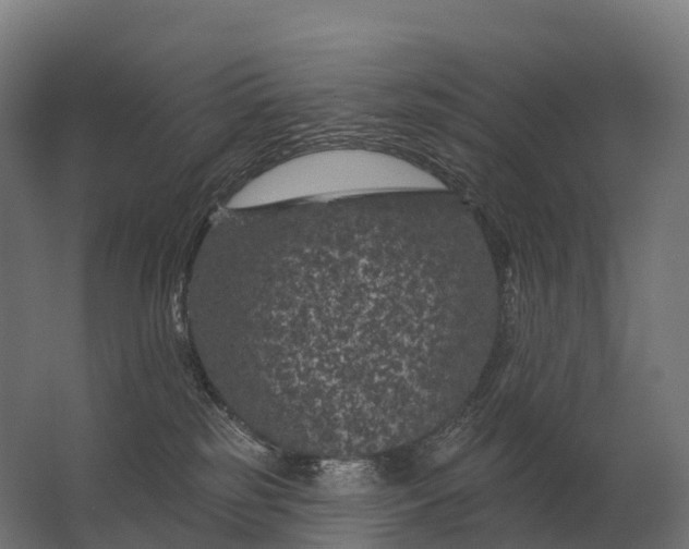 X0000062790185200512290232