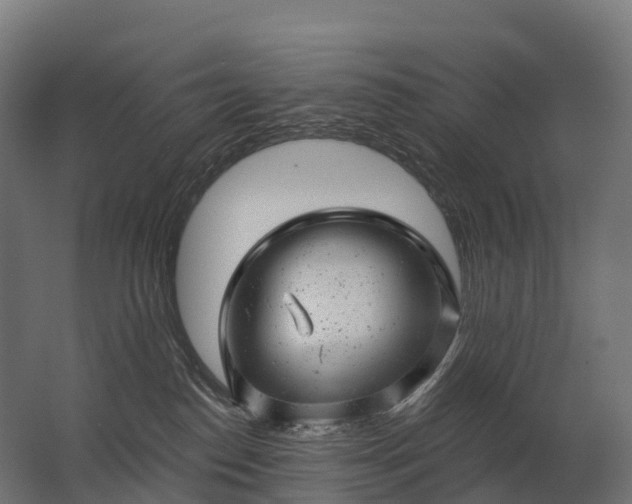 X0000062790186200512290232