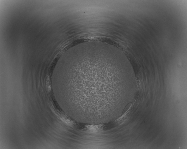 X0000062790187200512290232