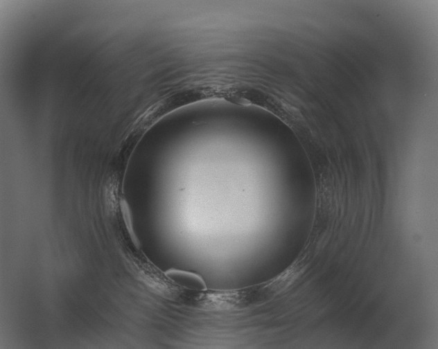 X0000062790188200512290232