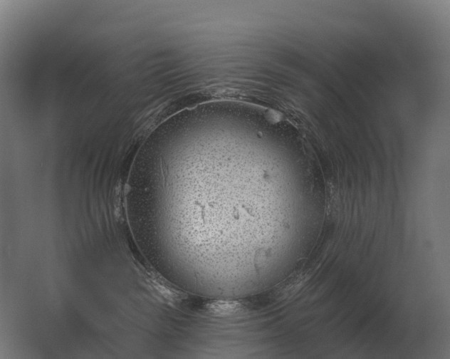 X0000062790189200512290232