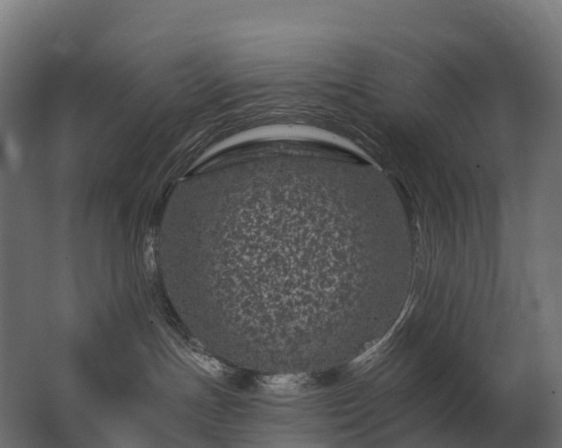 X0000062790191200512290232