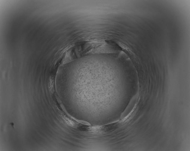 X0000062790192200512290232