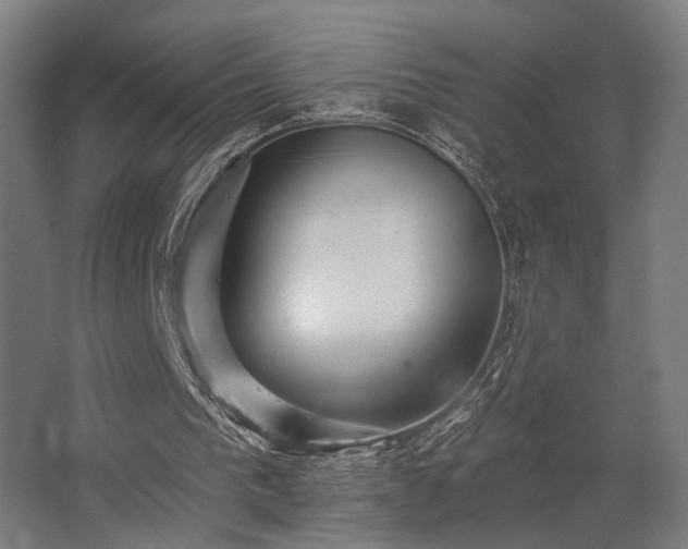 X0000062790193200512290231