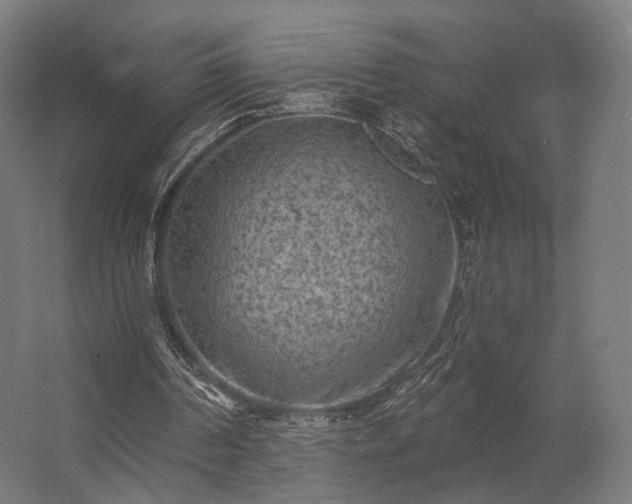 X0000062790194200512290231