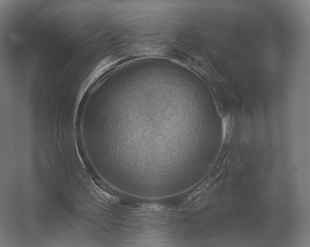 X0000062790195200512290231