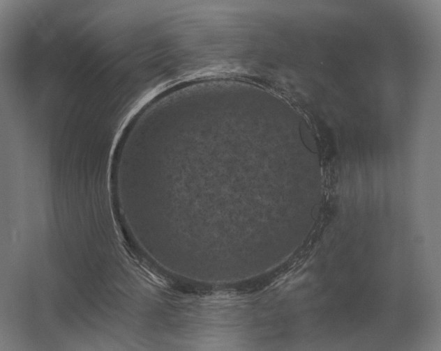 X0000062790196200512290231