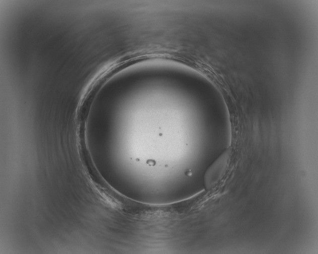 X0000062790197200512290231