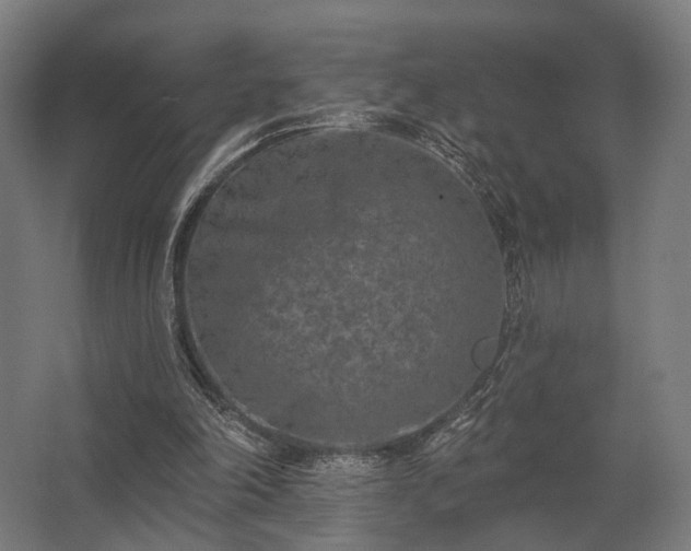 X0000062790198200512290231