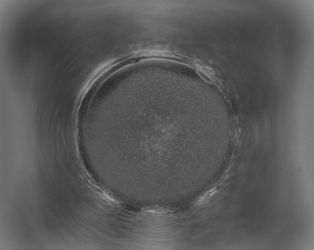 X0000062790199200512290231