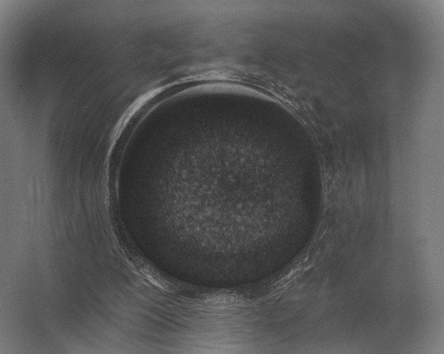 X0000062790200200512290231