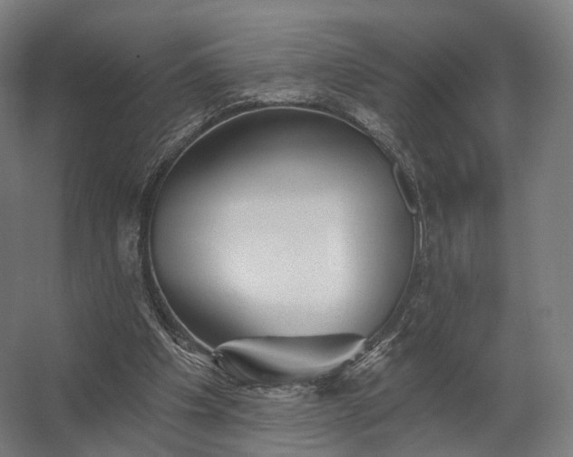 X0000062790201200512290231