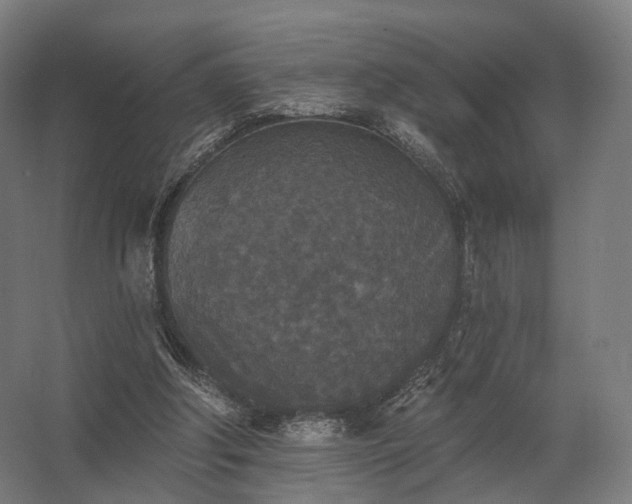 X0000062790202200512290231