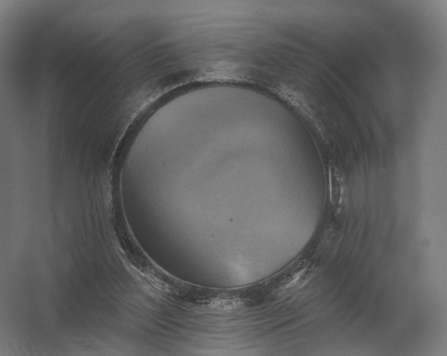 X0000062790204200512290231