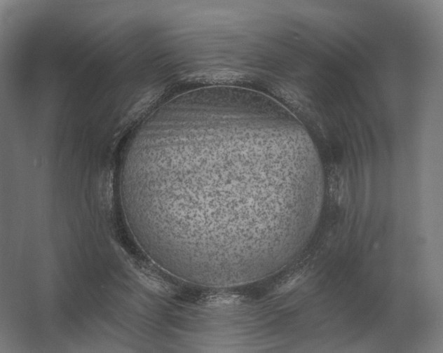 X0000062790206200512290231