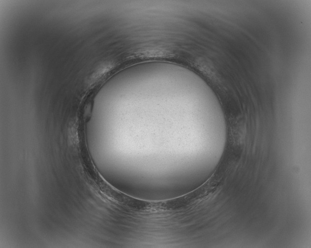 X0000062790207200512290231