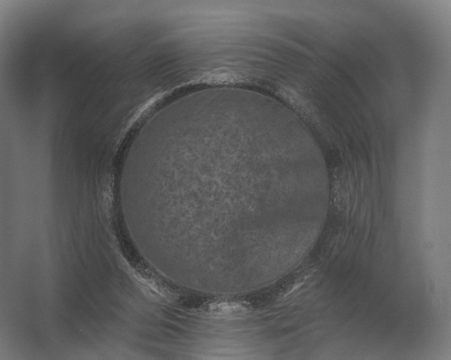 X0000062790208200512290231