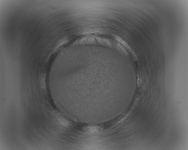 X0000062790209200512290231