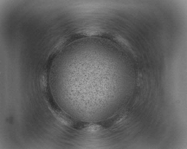 X0000062790210200512290231