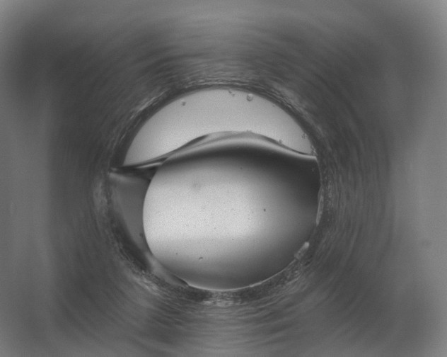 X0000062790211200512290231