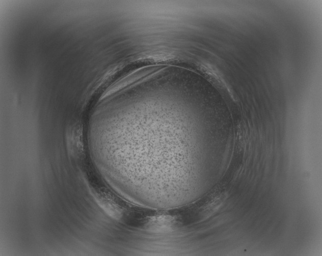 X0000062790212200512290231