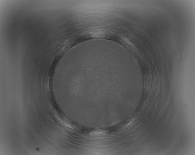 X0000062790213200512290231