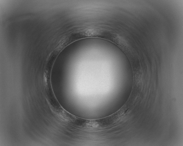 X0000062790214200512290231