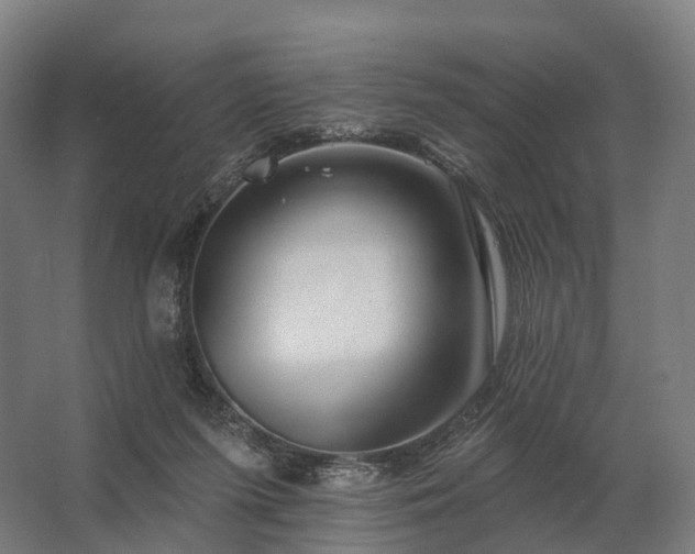 X0000062790215200512290231