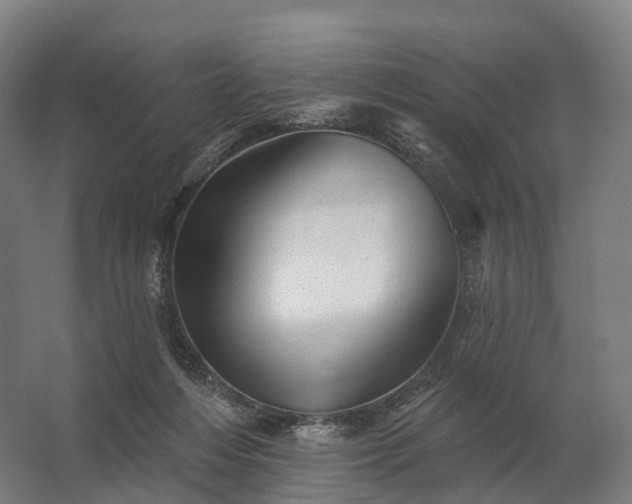 X0000062790216200512290231