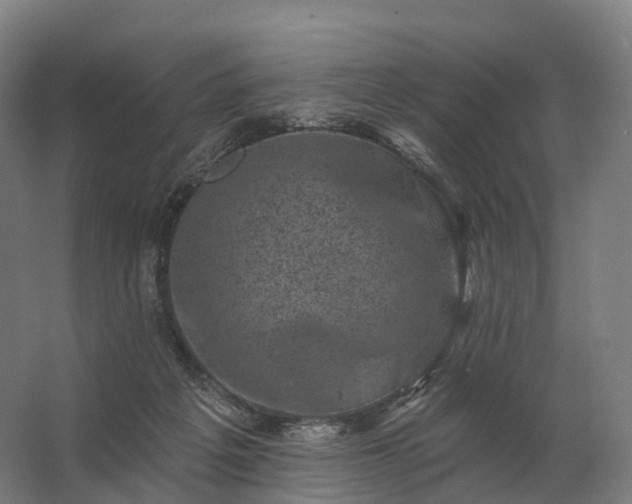 X0000062790217200512290231