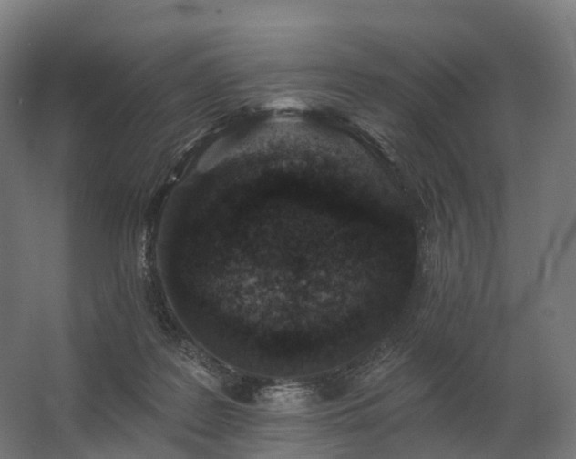 X0000062790219200512290231