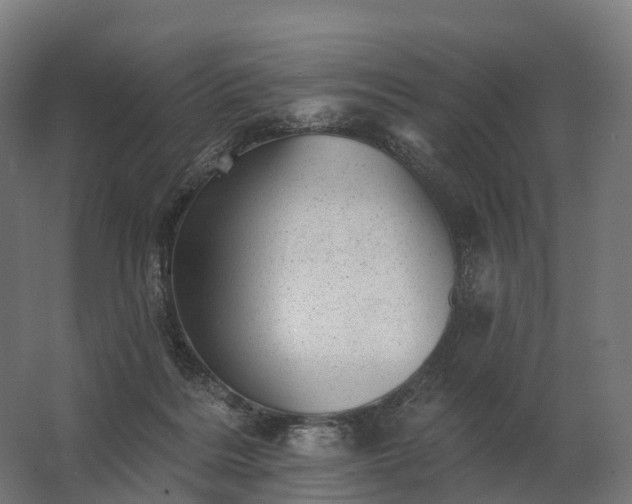 X0000062790220200512290231