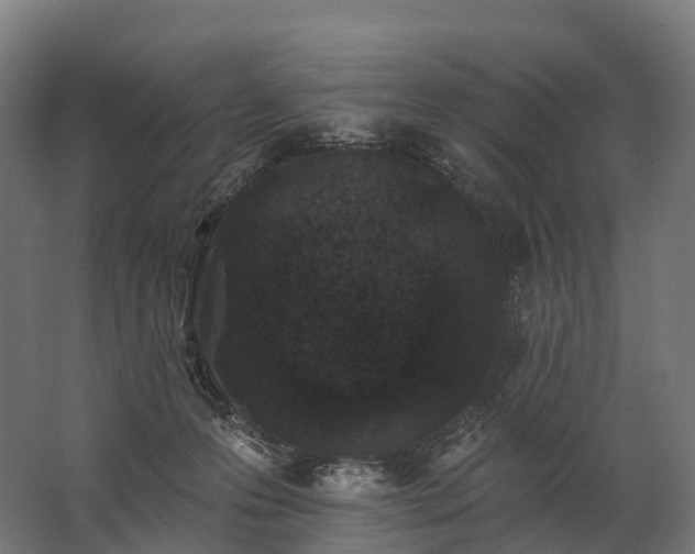 X0000062790223200512290231