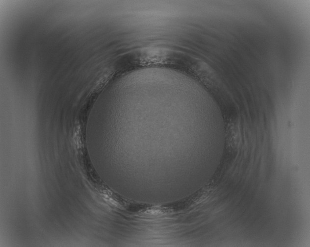 X0000062790224200512290231