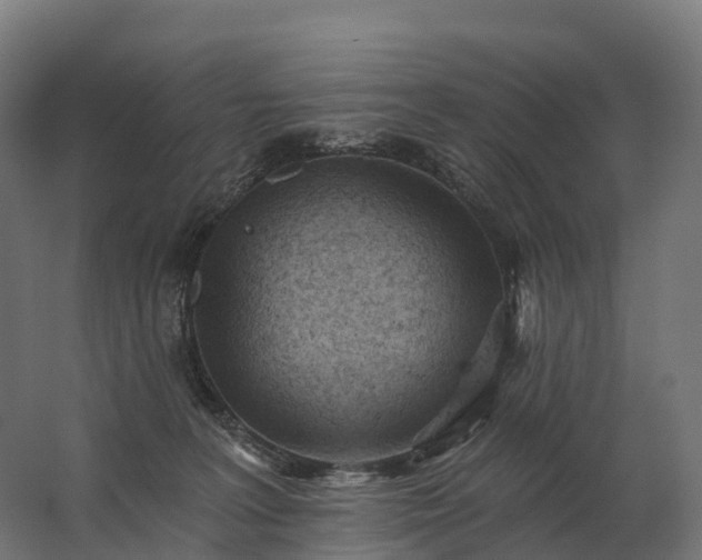 X0000062790227200512290231