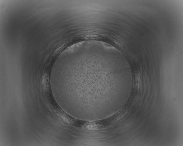 X0000062790228200512290231