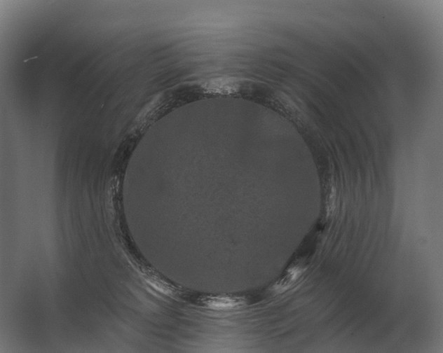 X0000062790229200512290231