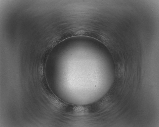 X0000062790230200512290231