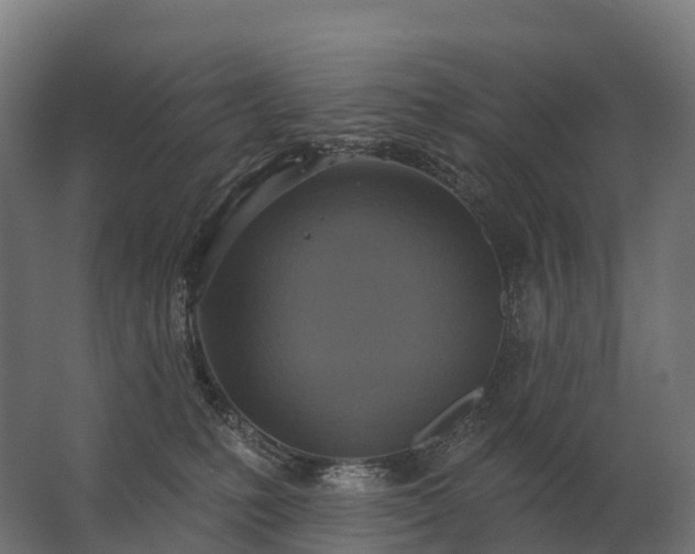 X0000062790231200512290231